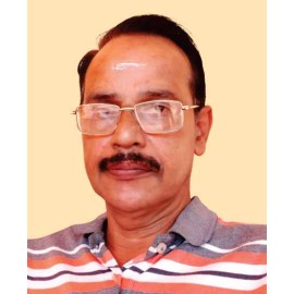 R Narayanan R Narayanan