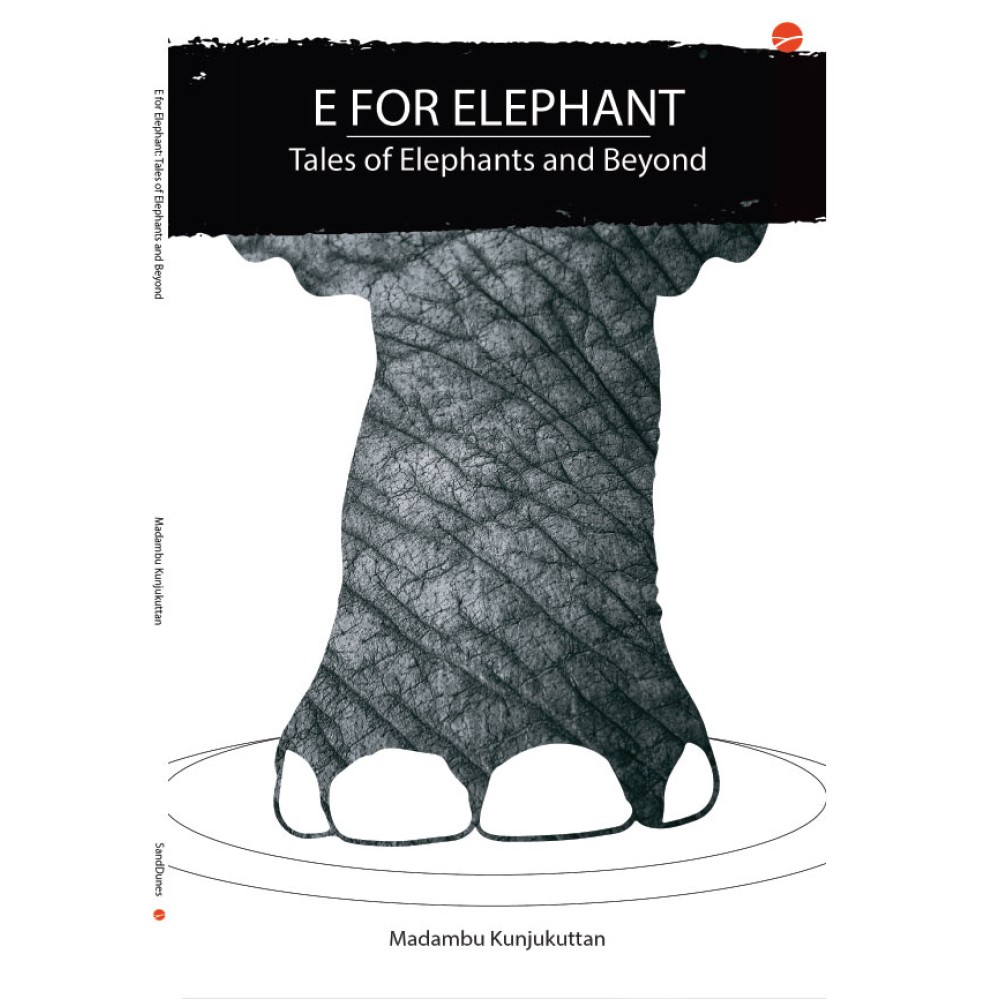 E for Elephant: Tales of Elephants and beyond