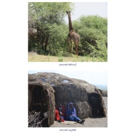 Hakkuna Mattata  ഹക്കുന മറ്റാറ്റ