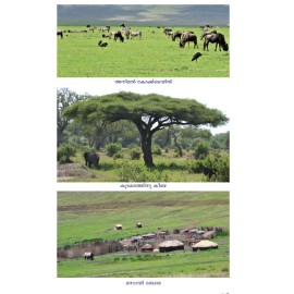 Hakkuna Mattata  ഹക്കുന മറ്റാറ്റ