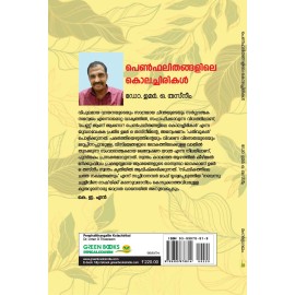 Penphalithangalile Kolachirikal