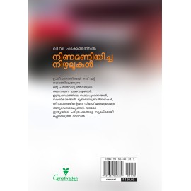 Ninamaniyicha Nizhalukal