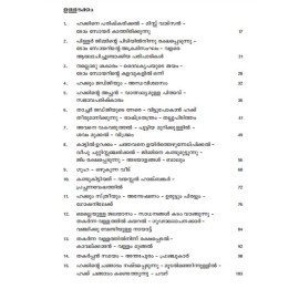 Huckleberry Finninte Vikramangal